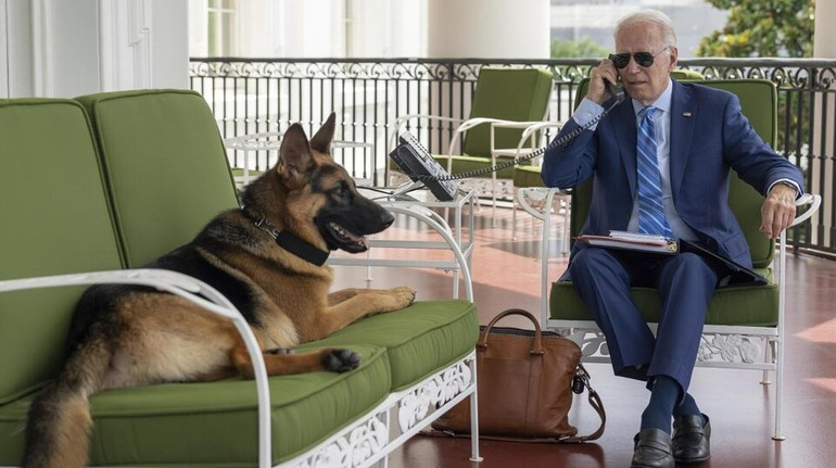 Собака Джо Байдена за рік щонайменше 24 рази кусав співробітників Секретної служби США