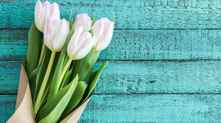 Профспілка освітян України закликала утриматися від дарування квітів педагогам на 8 березня