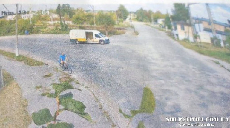 Від бійки за квітку до крадіжки кобили: у Шепетівці чоловік за тиждень здійснив кримінальний марафон