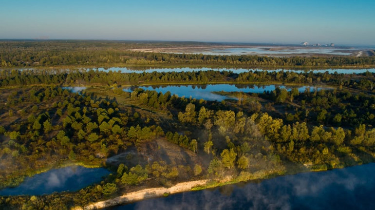У Чорнобильському заповіднику на відео потрапив гарем оленів: чому він утворився