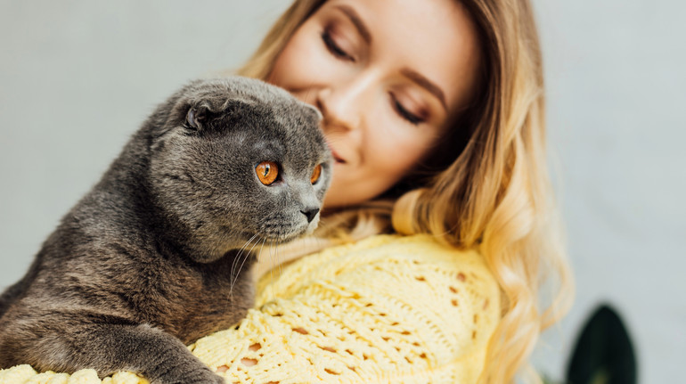 How do cats recognize their owners?