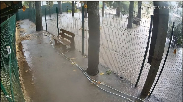 Негода в Одесі: під час зливи затопило Центр адопції для собак