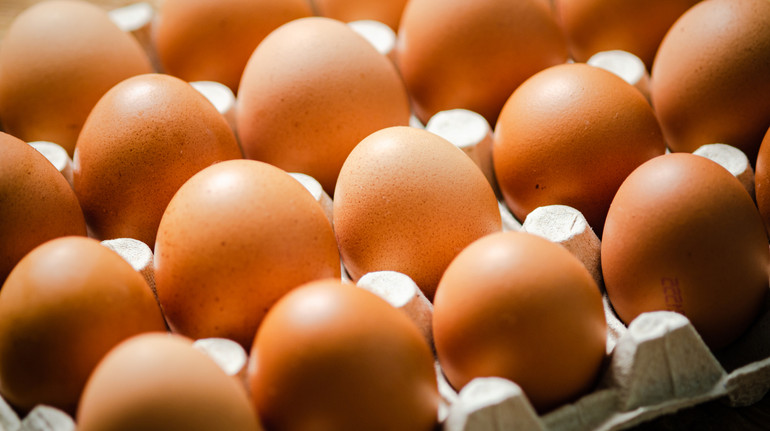 Яйця в раціоні, ймовірно, не впливають на рівень холестерину в крові – вчені