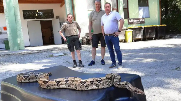 У Німеччині жінка знайшла удава завдовжки 2,5 метри у власному саду