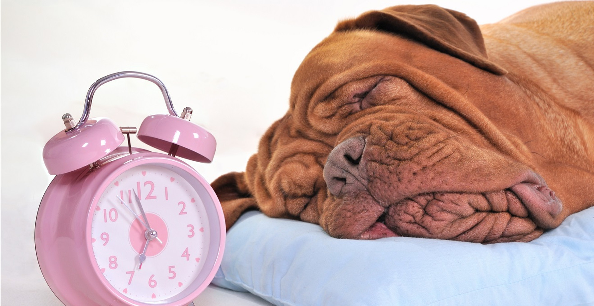 Як заснути, мати хороший сон і не нажити безсоння. Наукові поради 