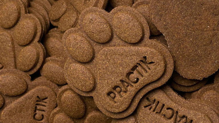 Тренд, що змінює ринок: як український бренд PRACTIK створив нове покоління ласощів для собак і котів