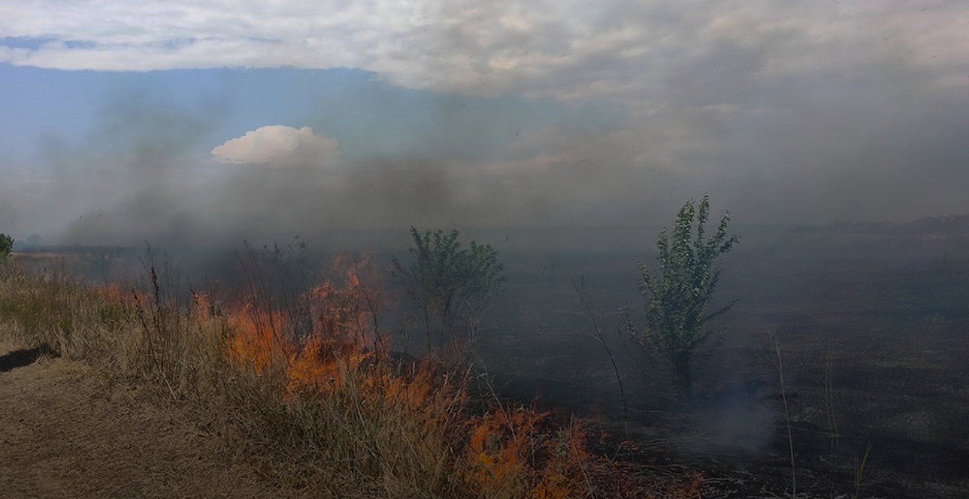 Бомба сповільненої дії: чому світ не може ігнорувати екологічні наслідки війни в Україні