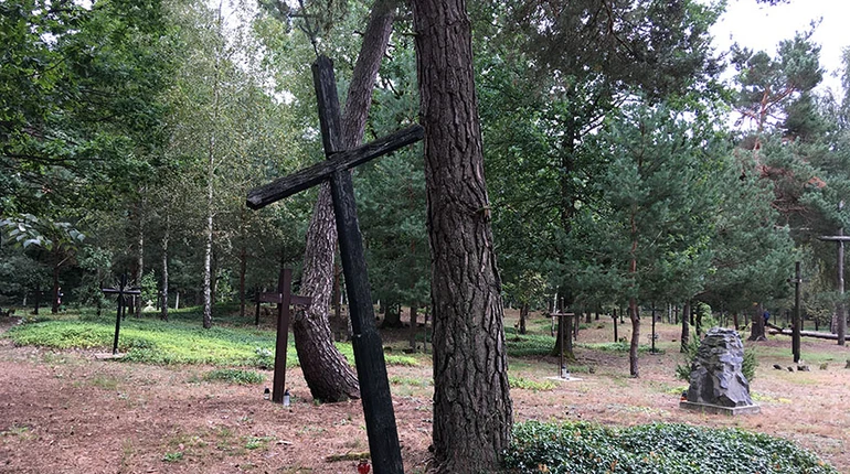 Україна та Польща почали спільні розкопки на місці Волинської трагедії