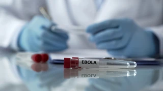 У Конго зафіксували рекордну кількість випадків Еболи за перший місяць спалаху