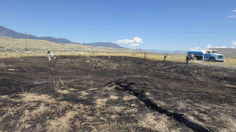 У Канаді риба, що впала з неба, спричинила пожежу та знеструмлення села: як це можливо