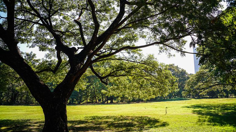 Келих пива став доказом у справі 30-річної давнини: історія викриття серійного ґвалтівника в Австралії