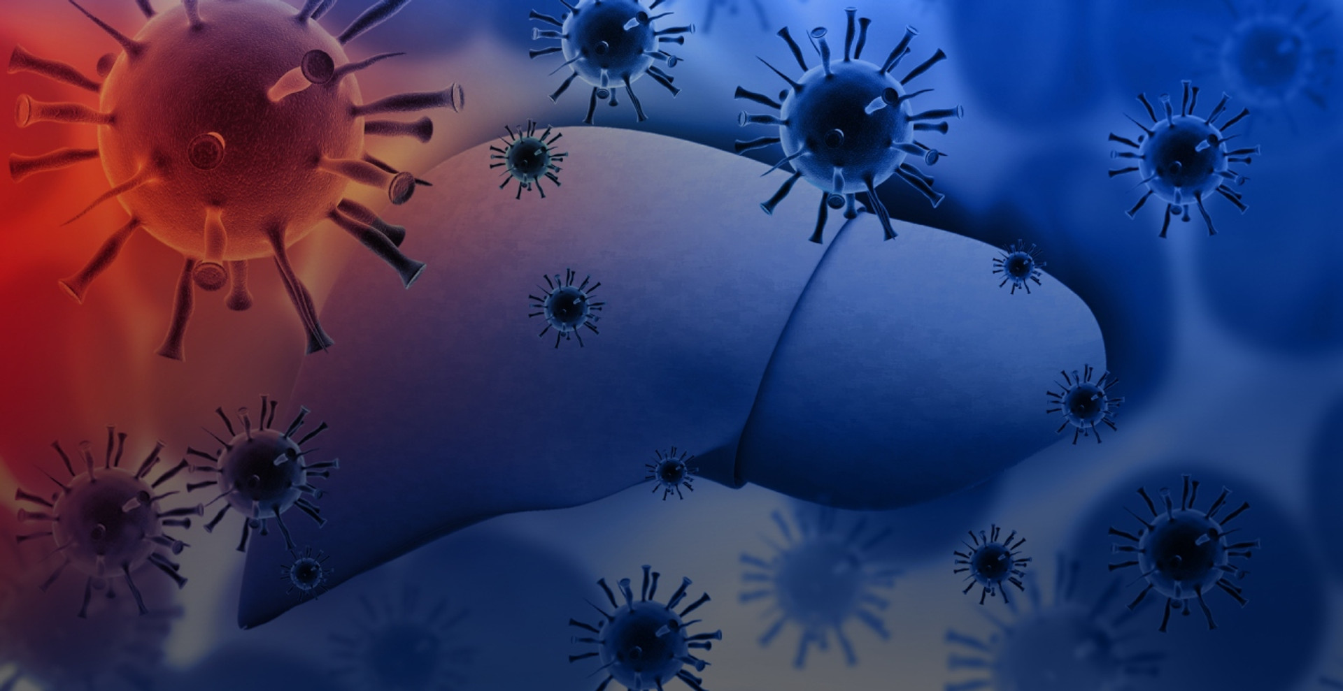 А, В, С… Що важливо знати про вірусні гепатити