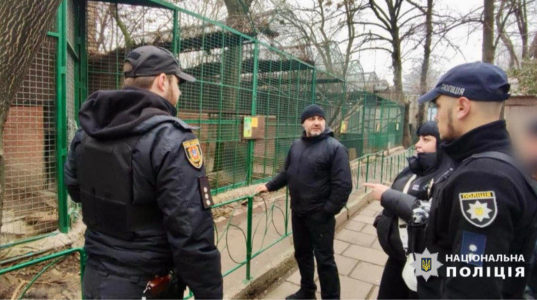 Напад леопарда в зоопарку Одеси: відкрили провадження через порушення правил безпеки