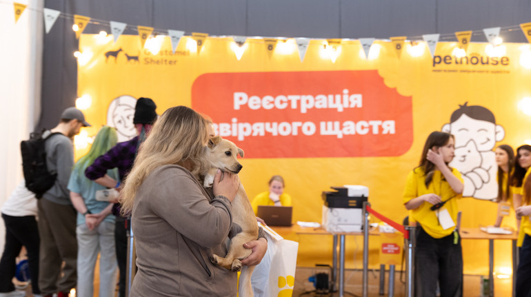 У Києві проведуть фестиваль адопції безпритульних тварин: як забрати пухнастого додому