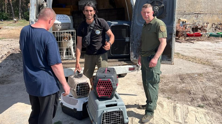 Поліція та волонтери врятували 13 тварин з прикордоння на Харківщині