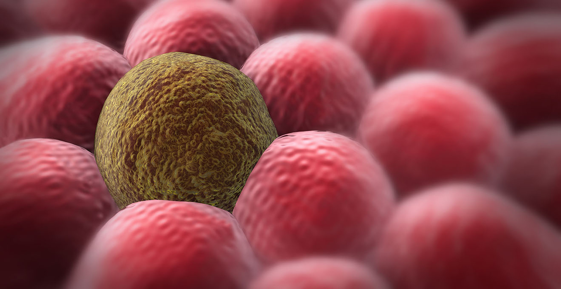 7 найрозповсюдженіших міфів про рак, які спростовує наука