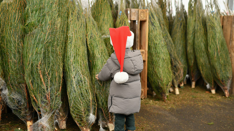Чи можна перевозити ялинку в столичному метро: у підземці дали роз’яснення