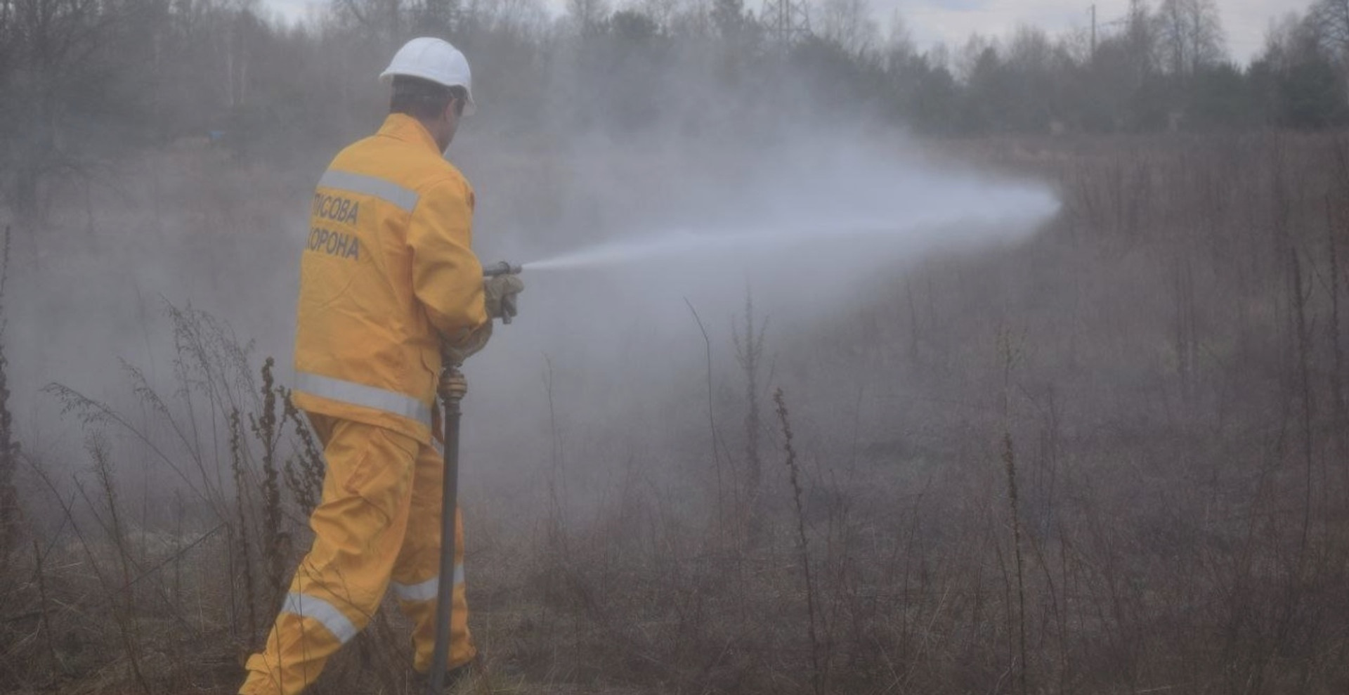 Катастрофічні пожежі в Чорнобильських лісах неминучі: як запобігти?