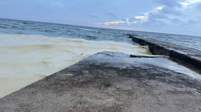 На пляжах Одеси виявили маслянисті плями та мертвих птахів