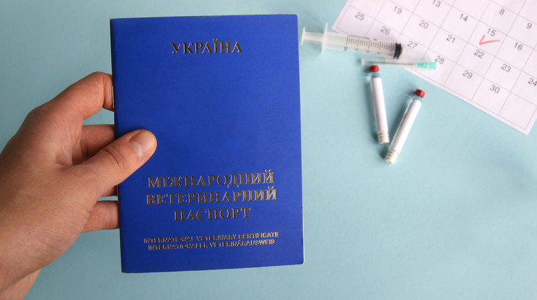 Як оформити ветпаспорт та коли можуть відмовити у його видачі? Пояснення Держпродспоживслужби