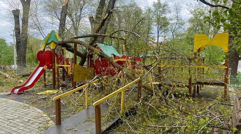 На Буковині дерева впали на дитячий майданчик – двох дівчат ушпиталили