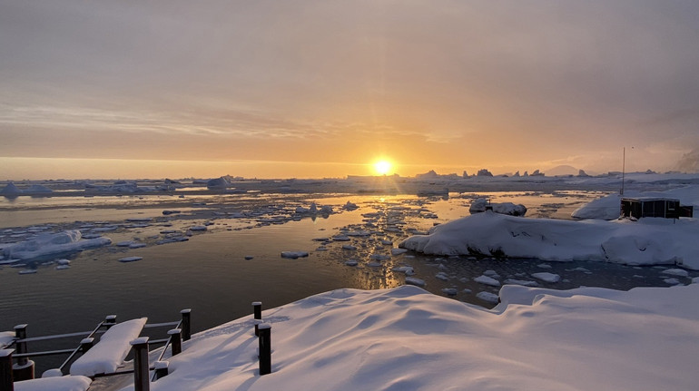 Про що розмовляють на крижині морський леопард і тюлень-крилеїд? Відео від полярників