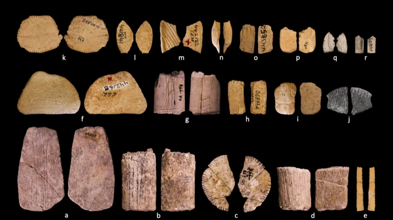 У Північній Америці знайшли найдавніші гральні кістки віком 12 тисяч років