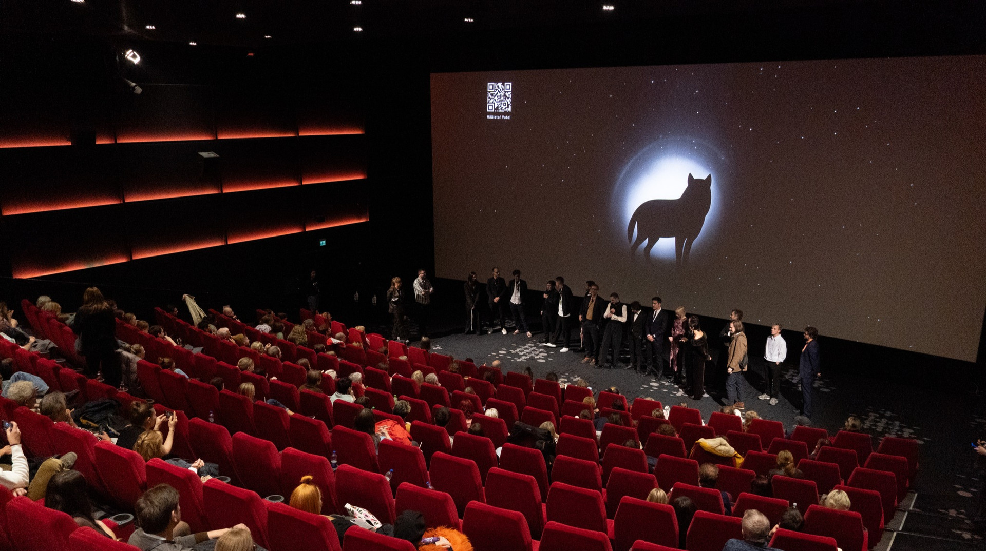 Світлі плями посеред Темних ночей: як минув Талліннський кінофестиваль