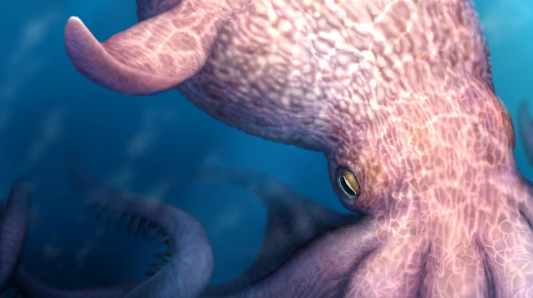 100 млн років тому в океанах мешкали гігантські восьминоги, які могли розгризати кістки – дослідження