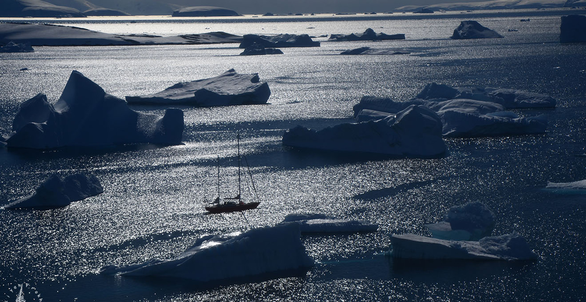 Провести месяц на Антарктиде? Спросите у Маркияна Прохасько как и зачем