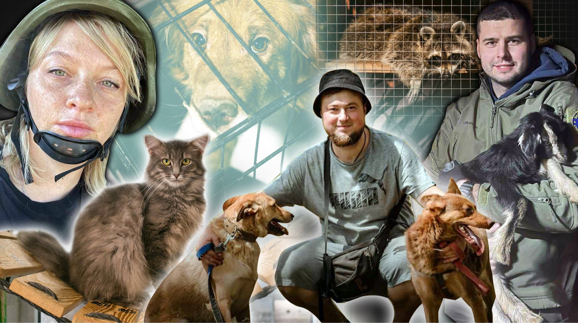 Завжди є ті, кому ми не встигаємо допомогти. Як волонтери рятують тварин із прифронтових територій від війни