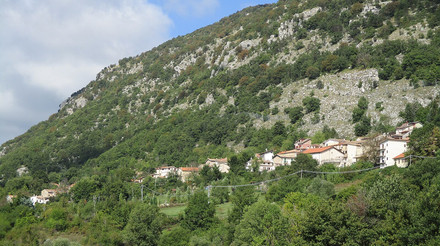 Котів більше, ніж людей: в одному з сіл Італії вперше за 30 років народилася дитина