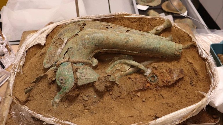 У Британії знайшли кельтський музичний інструмент залізного віку у формі дикої тварини