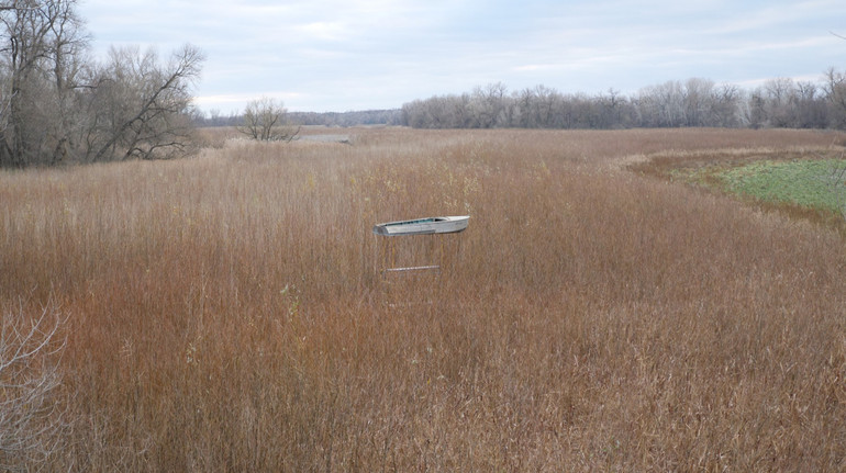 На Німецькому фестивалі покажуть відеоінсталяцію Жанни Кадирової The Forest