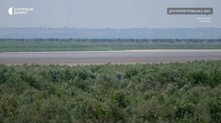 Вербовий ліс, пелікани та осетри: яким став Великий Луг через 3 роки після підриву Каховської ГЕС