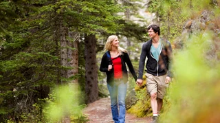 Природний антистрес: як прогулянка у лісі впливає на наше здоров’я?