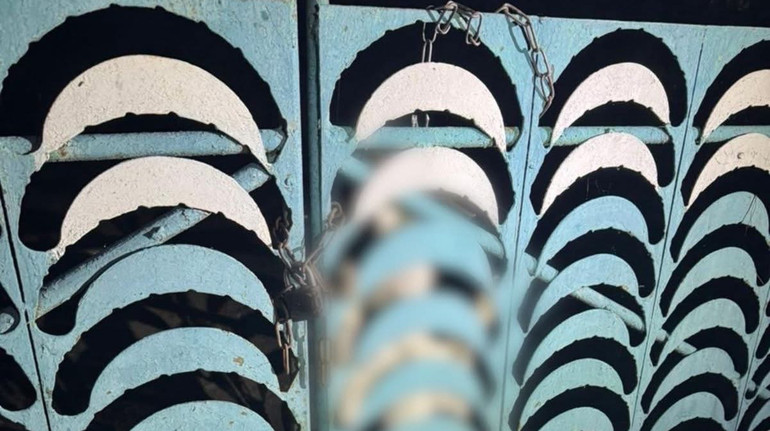 У селі на Київщині чоловік повісив свого собаку на огорожі: поліція відкрила справу