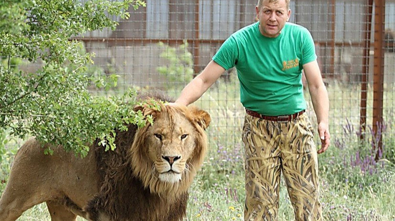 Кримського колаборанта Зубкова, який викрадав тварин в окупації, покусав лев