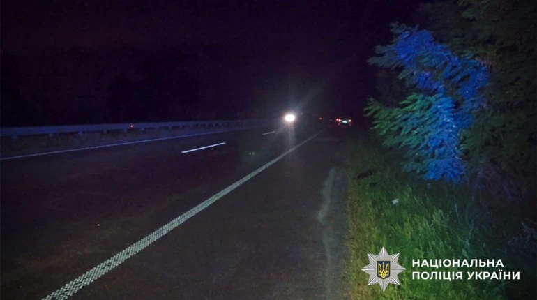 На Полтавщині водійка збила ветерана ЗСУ та його собаку: тварина загинула