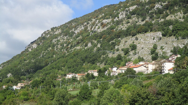 Котів більше, ніж людей: в одному з сіл Італії вперше за 30 років народилася дитина