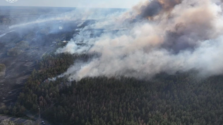 На Харківщині чоловік кинув недопалок у траву: згоріло 350 га лісу, йому загрожує до 10 років тюрми