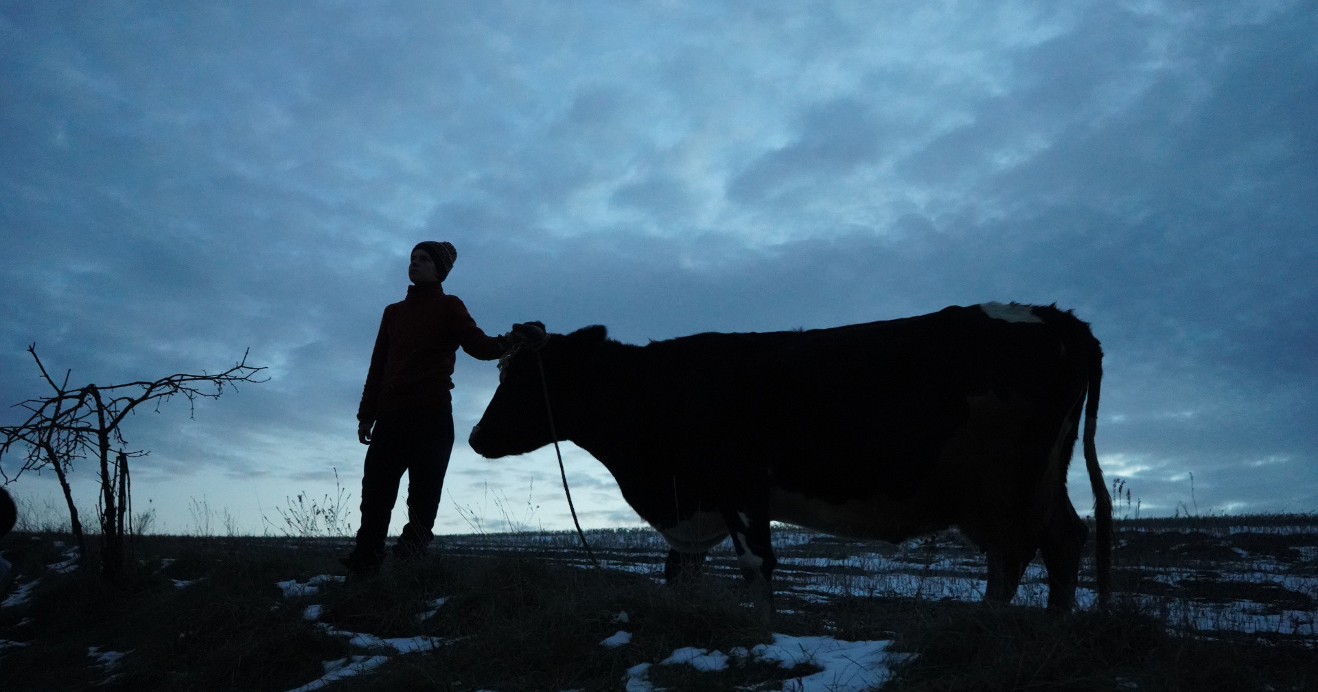 Український фільм "Війна очима тварин" вийде у Північній Америці