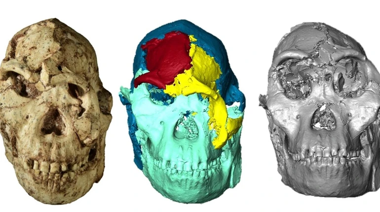 Череп, що пролежав у камені мільйони років, допоміг відтворити обличчя одного з перших родичів людини