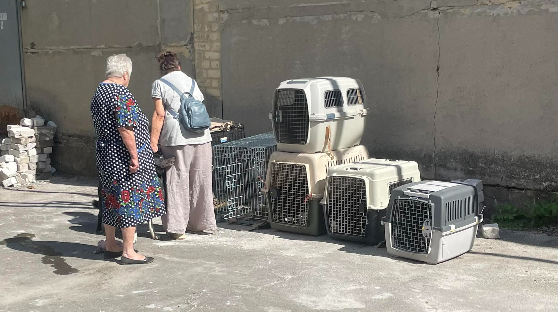 life.pravda.com.ua