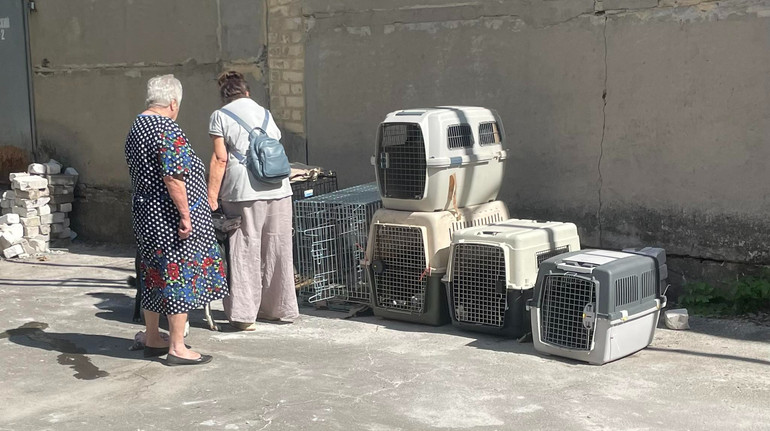 Краще б нас перестріляли вдома: на Вінниччині селяни виступили проти поселення людей з-під Покровська