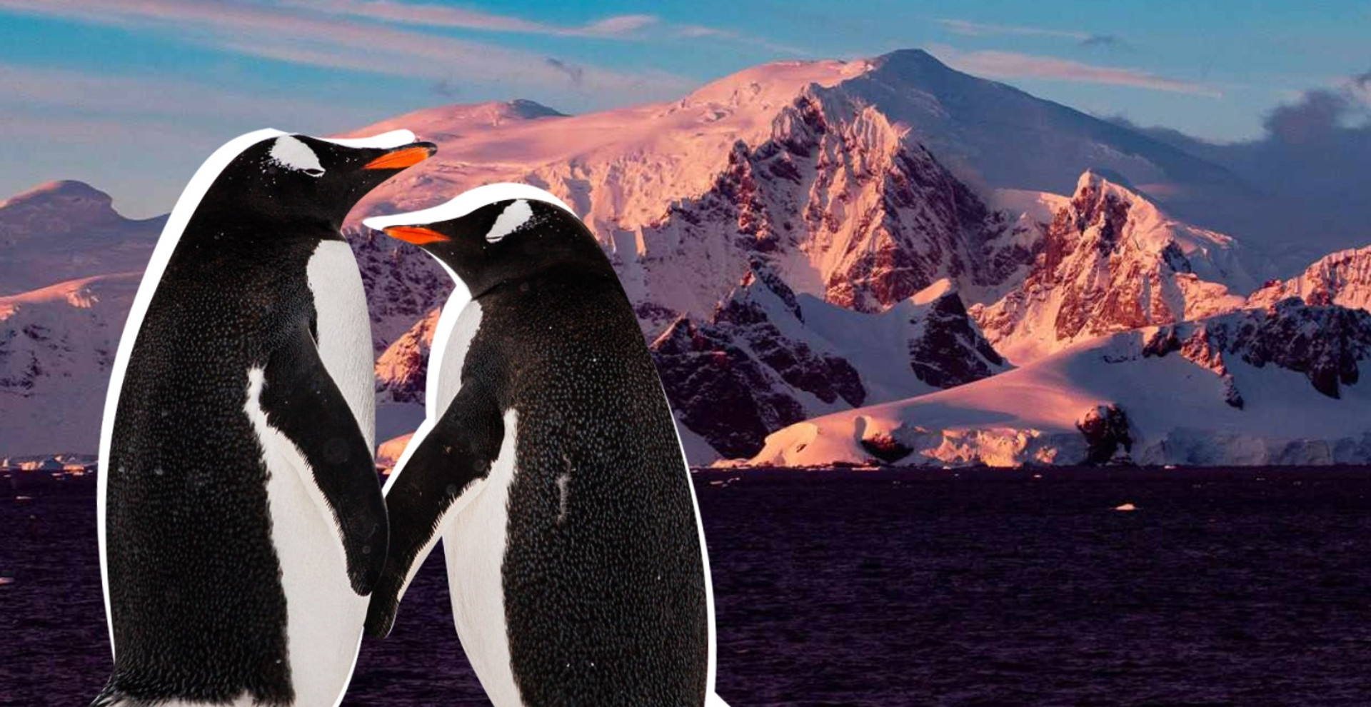 Крижаний континент і пінгвіни, яких не можна обіймати. Що ви знаєте про Антарктику? ТЕСТ