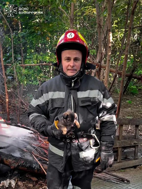 Одне з цуценят має сильні опіки