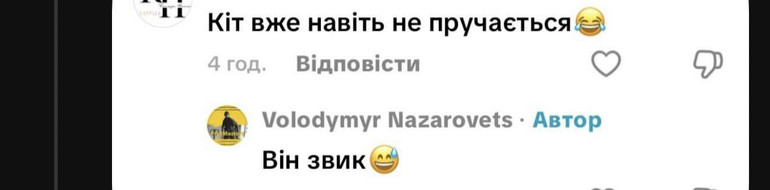 Скриншот з мережі