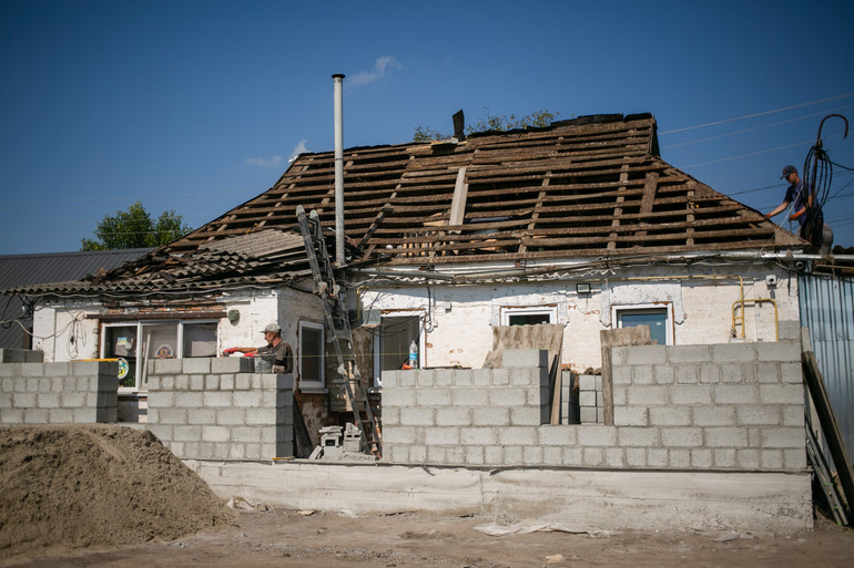 Будівництво простору для лежачих і невиліковно хворих тварин