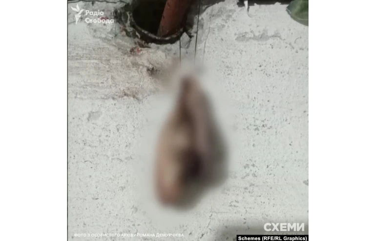 Відрізані вуха з переписки російського генерала